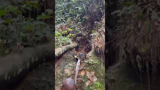 Bath In Awesome Stream.