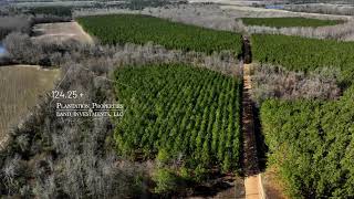 The Grapevine Retreat - 124± Acres in Jenkins & Emanuel Co.