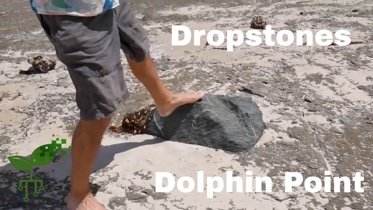 Dropstones - Dolphin Point: Insights and inferences | Introduction to Earth systems | meriSTEM