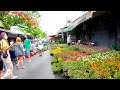 [4K] Chatuchak Flower and Plant Market EP.2 - Bangkok Thailand