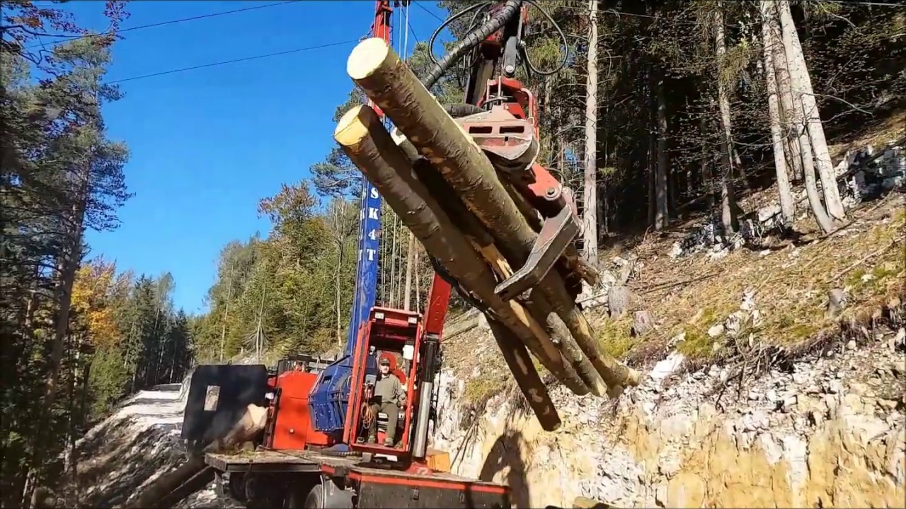 Timbernator TST 60H das ultimative Harvesteraggregat mit mega Geiferöffnung + dem langen Kettenband!