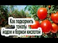 йод и борная кислота [очень хорошая подкормка для томата ]