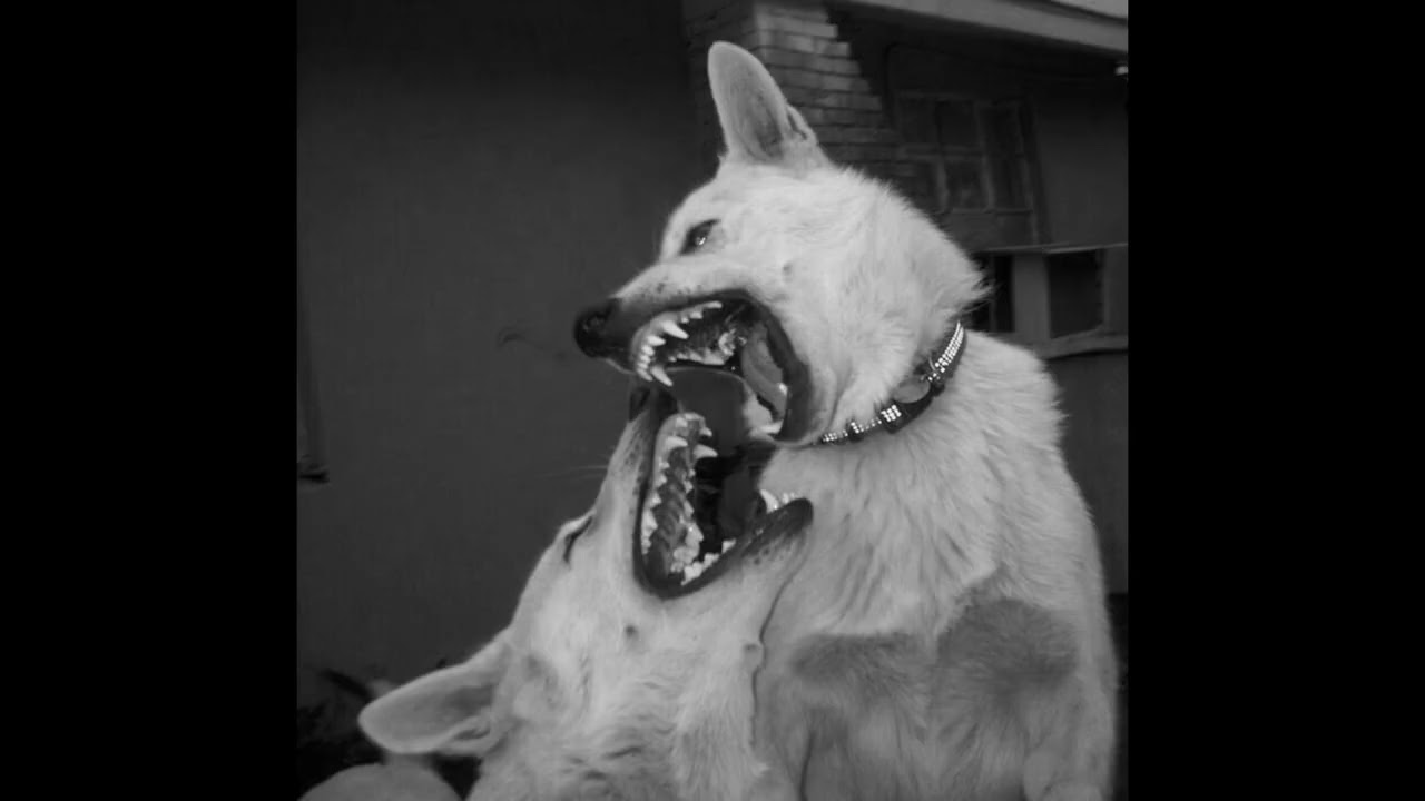 21 Savage Type Beat | WHTTS Type Beat - Honor