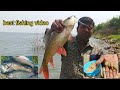 Fishing | Fish Catching | Best Fishing Techniques | Catching Rohu Fish