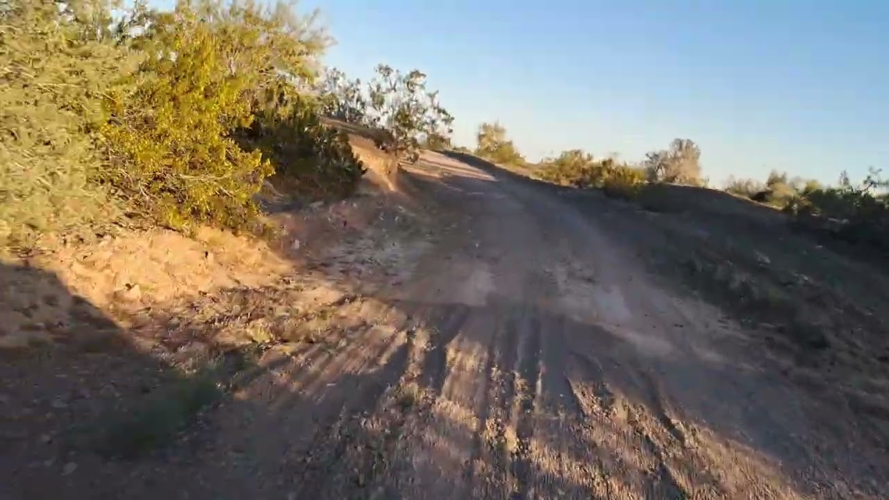 Wheeling in the desert after a day of rockhounding