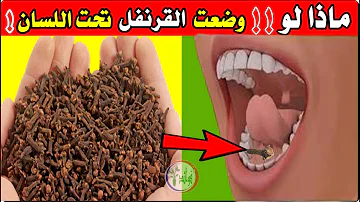 فوائد القرنفل للجنس