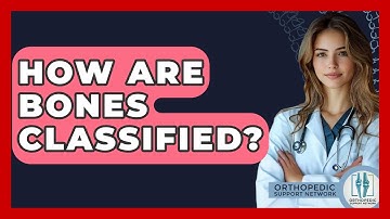 How Are Bones Classified? - Orthopedic Support Network