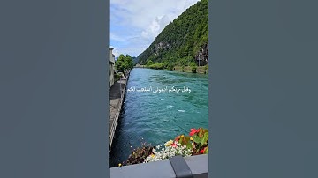 انّ الله لذو فضل على الناس ولكن أكثر الناس لا يشكرون  #سورة_غافر #راحة_نفسية #الحمدلله