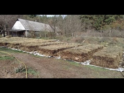 Бейне: Күз көңін компосттау - бұл өсімдіктер үшін жақсы тыңайтқыш