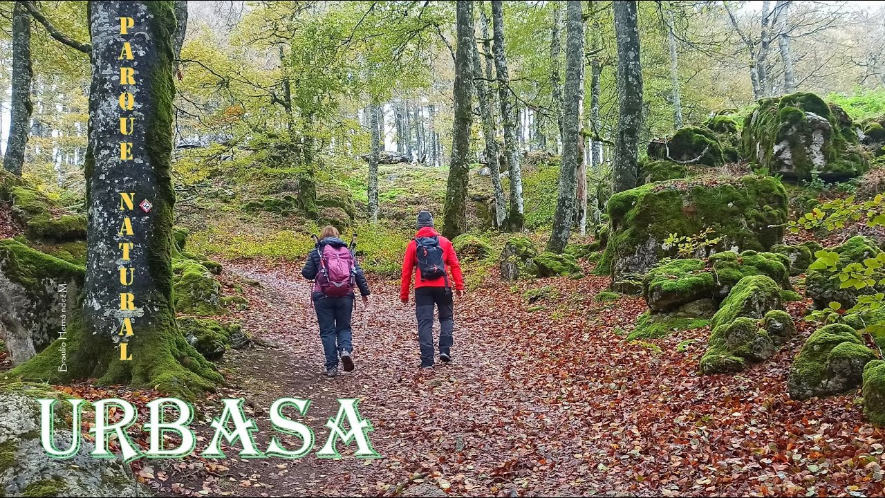 Hayedo Encantado de Urbasa en otoño - Parque Natural Urbasa-Andía - Senda de los Montañeros
