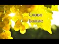 Заговори со мной, и я тебя увижу. Тема для реферата по методике преподавания эстрадного пения.