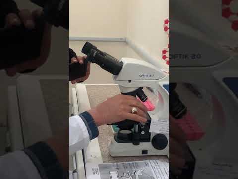 محاضرة العملي الاول اجزاء المجهر