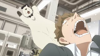 Bond Ists Loid On His Mission Spy X Family Season 2