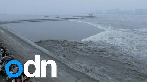 WATCH: Spectacular tidal bore surges up Qiantang River in China