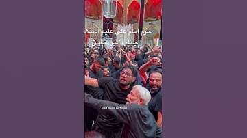 Mir hasan mir // Matam krte hue #mirhasanmir #mirhasanmirnoha  #mirhasanshort #imamali #najaf