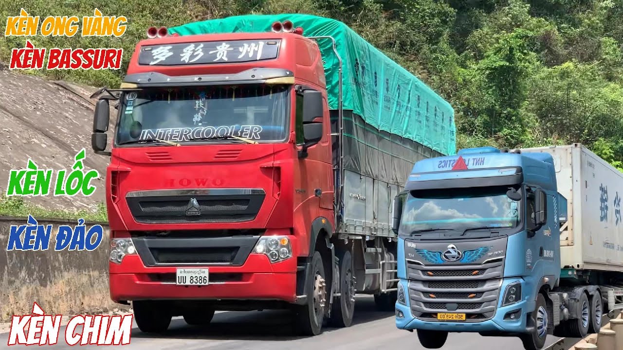 Xe Tải Bóp Kèn. Các idol Báo Thủ Qúa Chất, Những Màn Biểu Diễn Kèn Đẳng Cấp