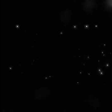 Free Download!!! Mentahan Black Screen Efek Salju