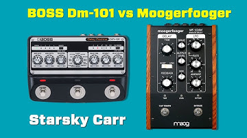 Boss DM101 vs MoogerFooger MF104