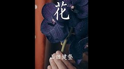 Kento Yamada Youtube