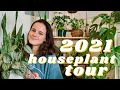 houseplant tour 🌱 all my plants in my itty bitty room