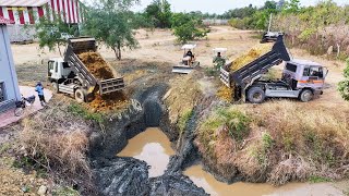 : Ep5 The project is getting closer to completion. Fill the soil around the house with bulldozer D-21P