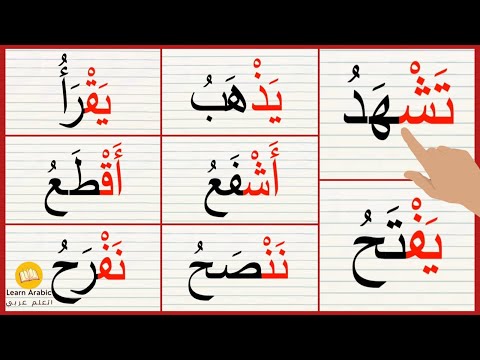 تعلم القراءه قراءة كلمات بحركة السكون الحروف بالحركات الفتحة والضمة   تعلم الاملاء