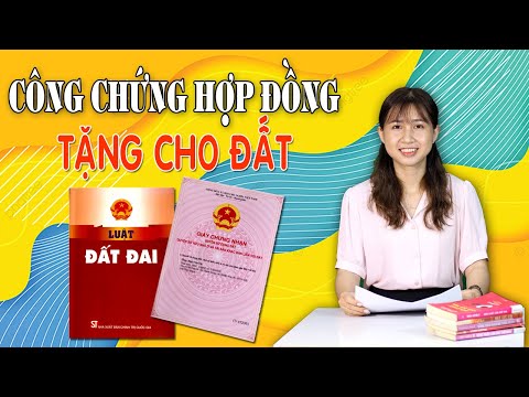 Video: Hợp đồng Tặng Cho Căn Hộ Có Hiệu Lực Hồi Tố Không