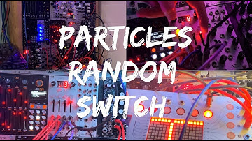 PARTICLES on Random Switch Mode: Same input, different results.
