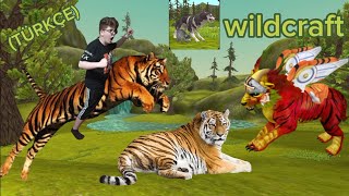 Kaplan Gameplaywi̇ldcraft Türkçe