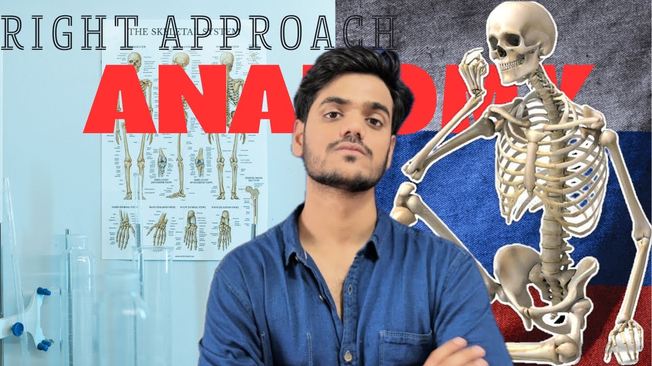 HOW YOU SHOULD START ANATOMY IN RUSSIA //MBBS IN ABROAD // MBBS IN RUSSIA