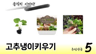 일상에서 유용한 고추냉이키우기 추천 5개
