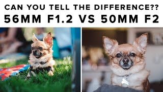 Blind Test: Fuji 56mm f1.2 vs Fuji 50mm f2