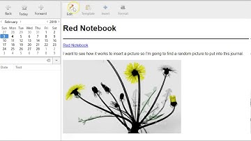 RedNotebook