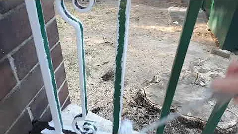 Painting a wrought iron fence