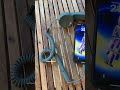 Unboxing Native Union’s Pop Phone Handset