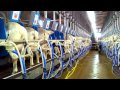 Dairy goat milking parlour Dutchlac