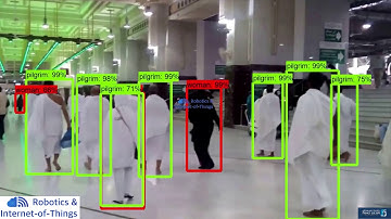 AI-based Pilgrim Detection and Monitoring using Deep Learning