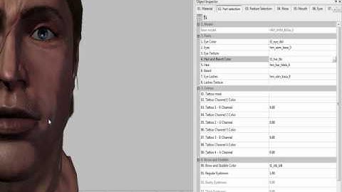 Dragon Age Toolset: Basic Overview. Part 4: Head Morphs