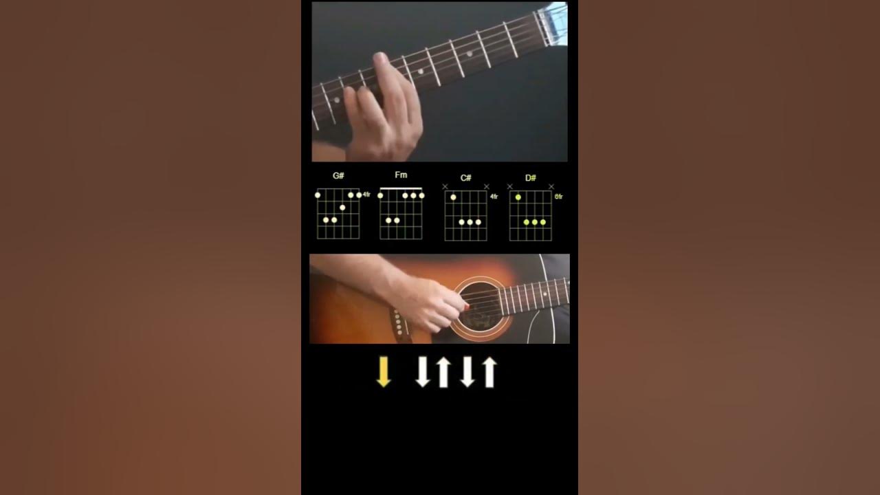 Justin Bieber - DAISIES- Chords   #cover #chords #guitar #music #guitarcover #acousticguitar