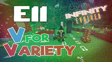 V for Variety SMP :: FTB Infinity Evolved :: E11 :: Flying Broom!