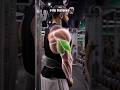 Complete Arm Workout | 4 Exercises #shorts
