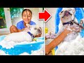 Girl BATHES HER DOGS, Something Goes WRONG | FamousTubeFamily