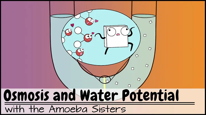 Osmosis and Water Potential (Updated)
