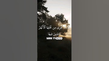 ماهر المعيقلي - سورة آل عمران ( برواية حفص عن عاصم ) الأية 15