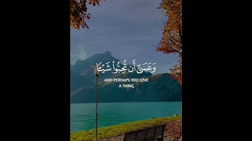 وعسى أن تكرهوا شيئا"وهو خير لكم 🧡🧡#قرآن #تلاوات #اجمل_حالات_واتس_اب