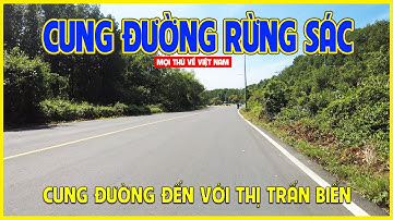 RỪNG SÁC - CẦN GIỜ | CUNG ĐƯỜNG XUYÊN RỪNG QUÁ ĐẸP CHO DÂN PHƯỢT | Cần Giờ ngày nay