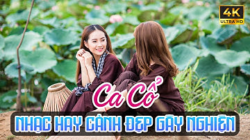 Ca Cổ Hơi Dài 1000 Chữ Ngắm Cảnh Đẹp Miền Tây - Ca Cổ Cải Lương Ru Ngủ Về Đêm Hay Nhất🌾Tân Cổ Dân Ca