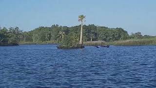 Heading out to the gulf flats. Yankeetown FL