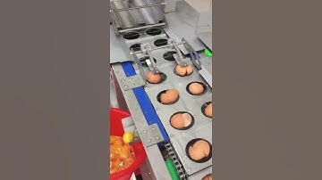 Automatic Egg Cracker