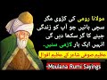 Moulana rumi k aqwalrumi quotes urdu